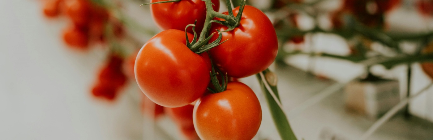 자연기술센터 이미지 03